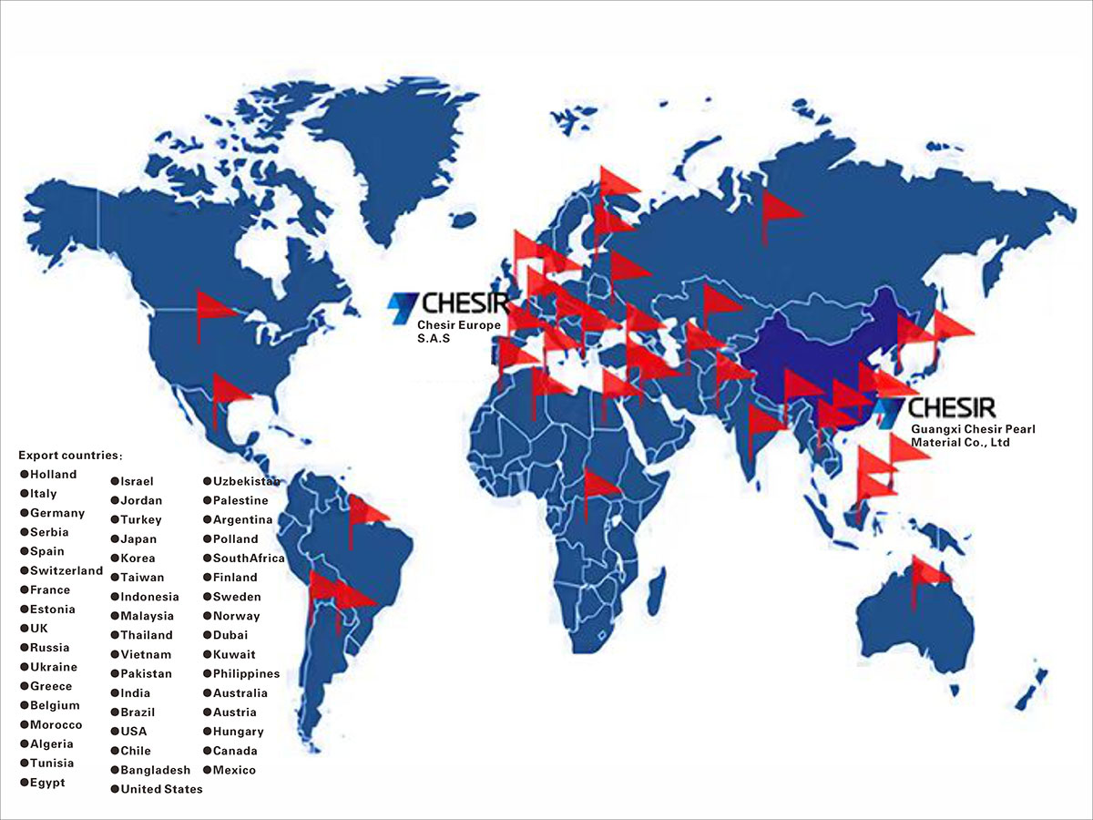 International Sales Network