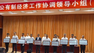 Su Ertian, Chairman of the Board of Directors of Global New Material International (Chesir), was Awarded as one of the Top Ten Private Economic Representatives in Liuzhou