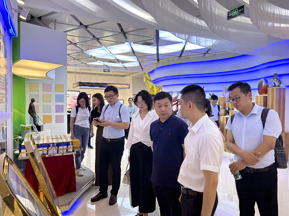 Changzhou Binjiang Economic Development Zone Delegation Visits GLOBAL NEW MATERIAL INTERNATIONAL for Research and Inspection
