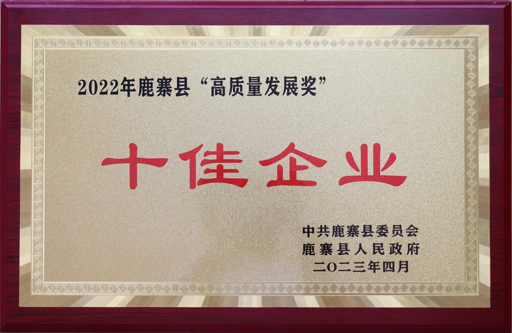 Global New Material International was Awarded the Top Ten Enterprises of Luzhai County “Luzhai County High-quality Development Award” and “Caring Disabled Enterprise”