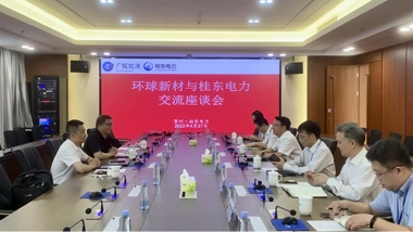 Win-Win Cooperation丨Global New Material International (CHESIR) and Guidong Electric Power CORP., LTD Jointly Held a Seminar