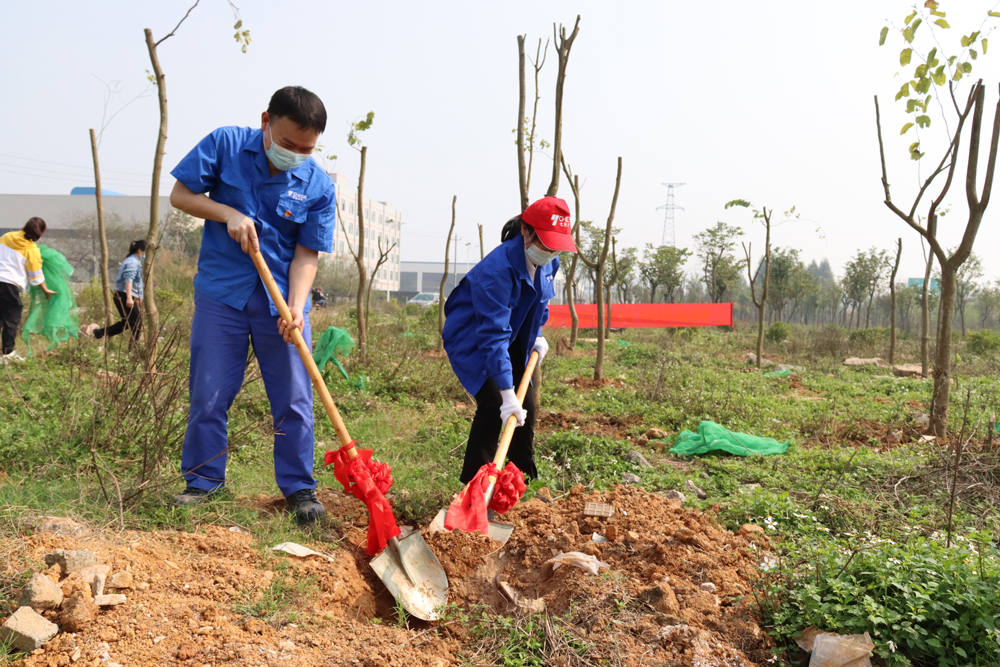 Add New Green to the Spring | Global New Material International (CHESIR) Conducts a Voluntary Tree Planting Activity