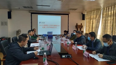 Global New Material International (CHESIR) Was Honored to Be Listed as a Healthy Enterprise in Liuzhou City in 2021