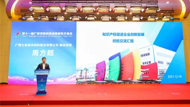 Zhou Fangchao, Vice President of Global New Material International (CHESIR), Invited to Give a Report at the Guangxi Intellectual Property Protection and Application Report Conference