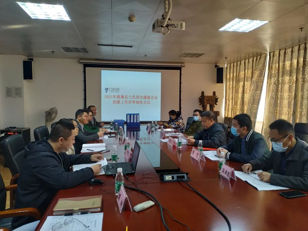 Global New Material International (CHESIR) Was Honored to Be Listed as a Healthy Enterprise in Liuzhou City in 2021