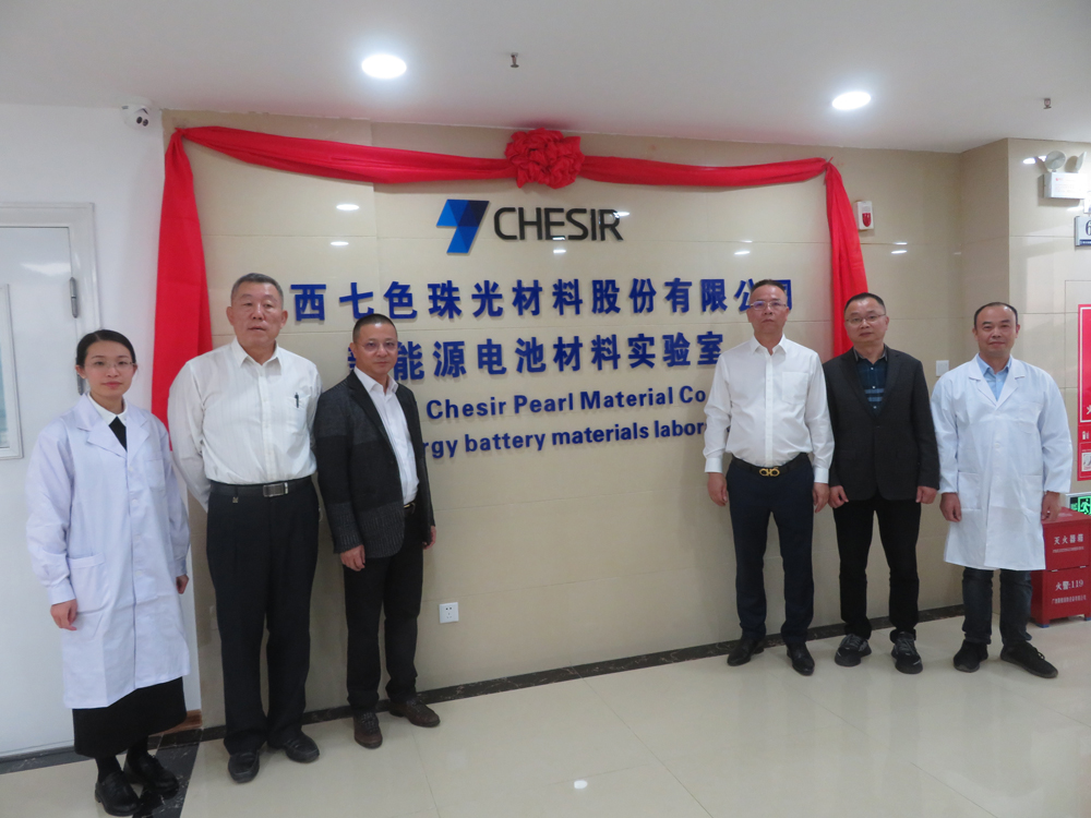 “New Energy Battery Material Laboratory” of Global New Material International (CHESIR) Officially Put into Operation