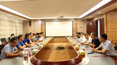Wang Wei, Standing Committee Member and Deputy Mayor of Liuzhou Municipal Committee and Deputy Mayor, Visited Chesir Pearlescent to Conduct Research