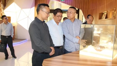 Autonomous Region “Stable Growth” Inspection Working Group Visits Chesir for Investigation and Guidance
