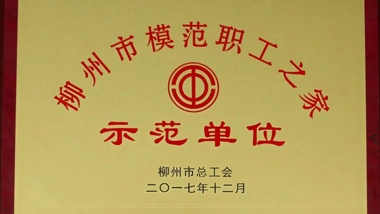 Good News! Chesir Pearlescent Trade Union Won Many Honors From the Municipal Federation of Trade Unions
