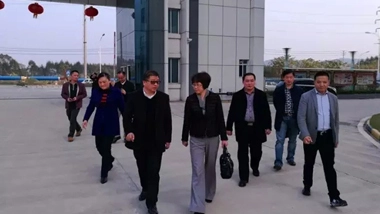 Team of Liuzhou City Federation of Industry and Commerce Visited Chesir