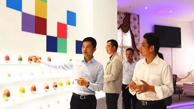 Team of the United Front Work Department of the Autonomous Region Party Committee Visited Chesir