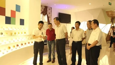 Wang Yuefei, Deputy Director of The Standing Committee of The Autonomous Region People's Congress and Chairman of The Federation of Trade Unions, Visited Chesir