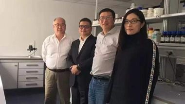 Chairman Su Ertian Led a Team to Inspect The Chesir's European Subsidiary