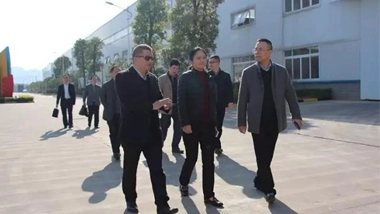 Li Ning, Vice President of Guangxi Beibu Gulf Investment Group, Led a Team to Conduct Research at Chesir
