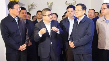 The Chairman of the Autonomous Region Chen Wu Went into Chesir to Investigate Its Development