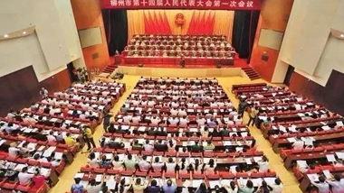 Chesir's Chairman Su Ertian Attended the First Meeting of the 14th People's Congress of Liuzhou Municipal and Made Positive Suggestions.