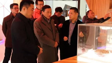 Experts from Tsinghua University's Research Group Investigate Chesir