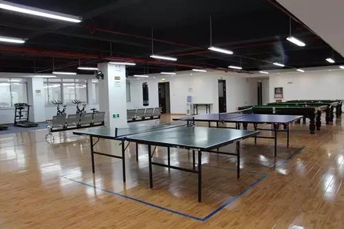 The area of table tennis, billiards and others balls